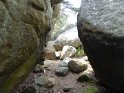 2018-05-24 15-02-45  Rando Fontainebleau FGn